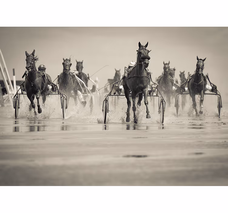 Horses Racing Together animal wall mural - TenStickers