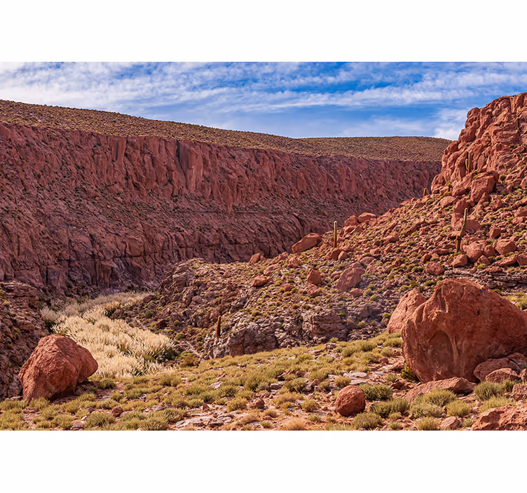 Red Desert Landscape mountain wall mural - TenStickers