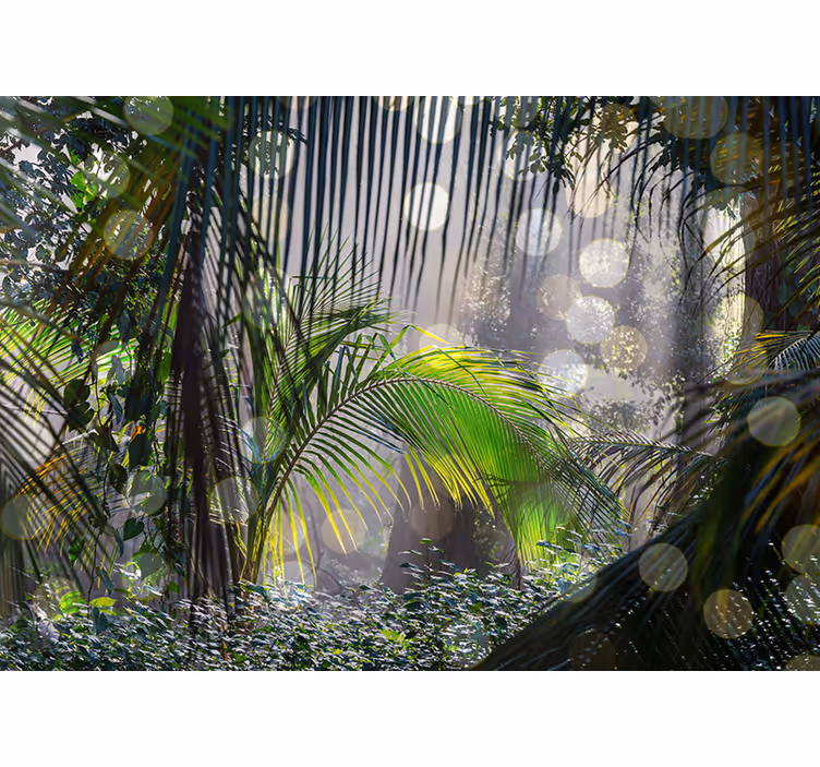 Amazonian lights Forest Wall Mural - TenStickers