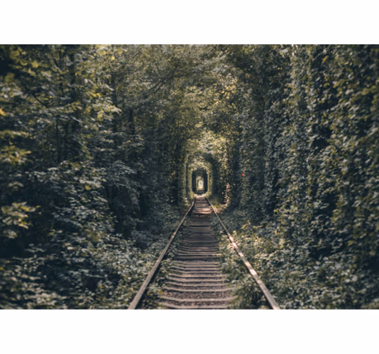 Pathway in a arch of tree nature wall mural - TenStickers