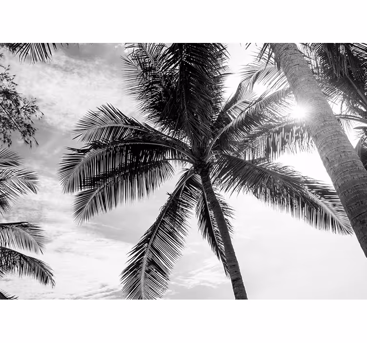 Tropical palm scene sea animals wall mural - TenStickers