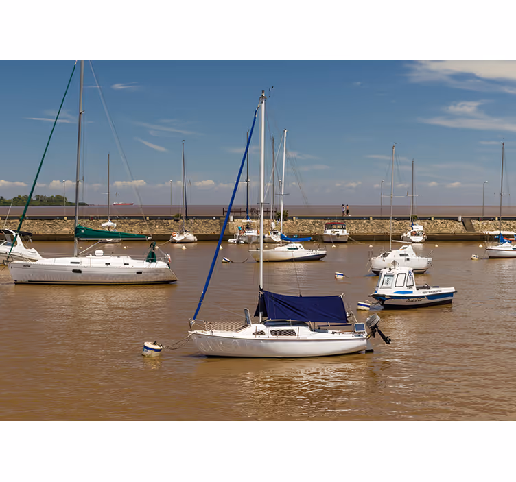 Sailboats in Harbor sea animals wall mural - TenStickers
