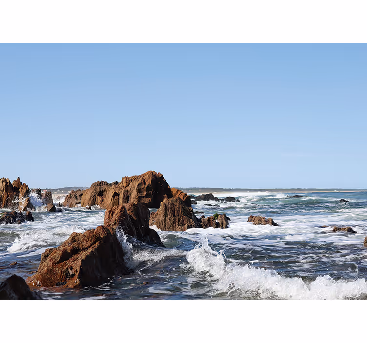 Rocky Shoreline View sea animals wall mural - TenStickers