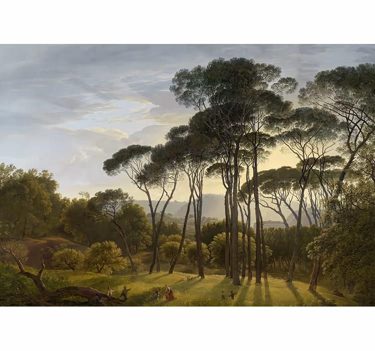 Forest sunbeams nature wall mural - TenStickers