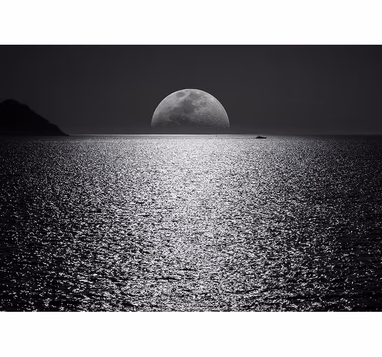 Moonlit view sea animals wall mural - TenStickers