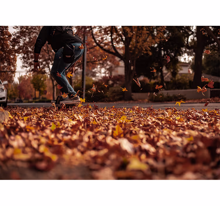 Autumn leaves stkater city wall mural - TenStickers