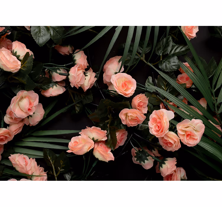 Soft Pink Roses flower wall mural - TenStickers