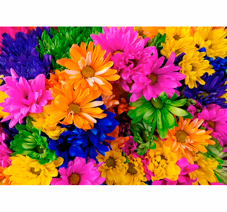 Flower wall mural colorful botanical design - TenStickers