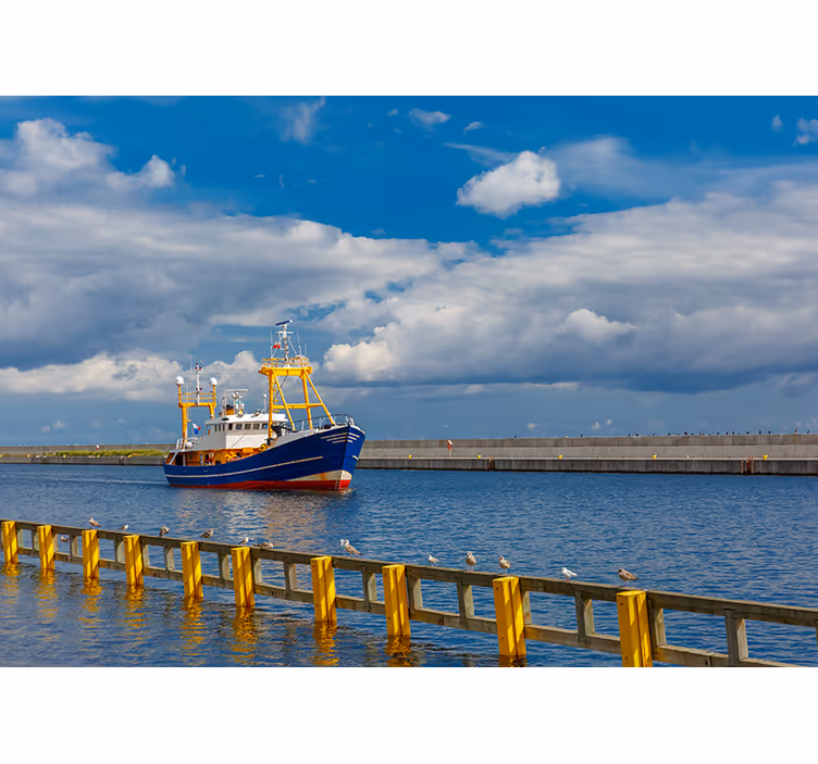 Fishing Boat Harbor sea animals wall mural - TenStickers