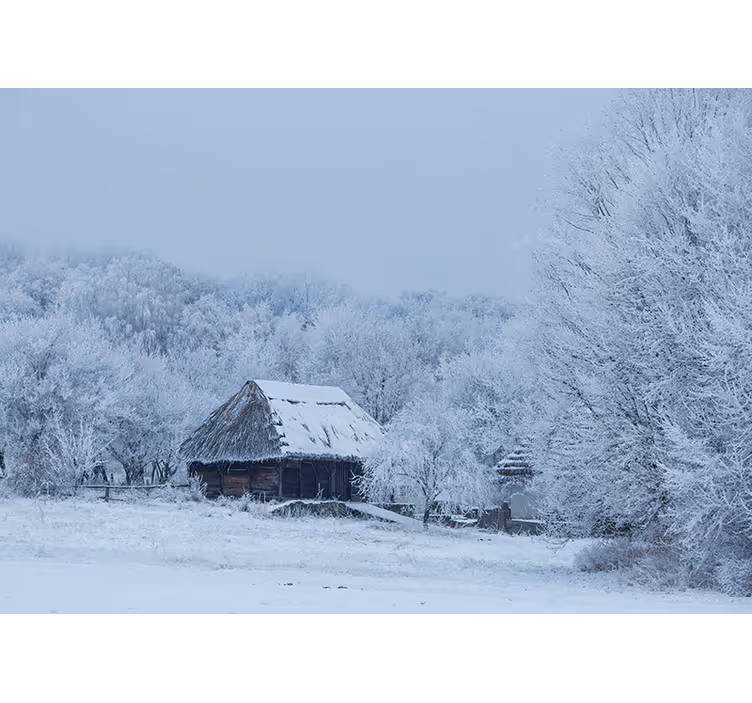 Icy Winter Scene landscape wall mural - TenStickers