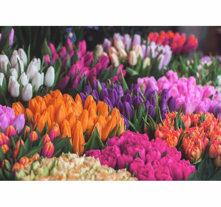 Flower wall mural tulip garden arrangement - TenStickers