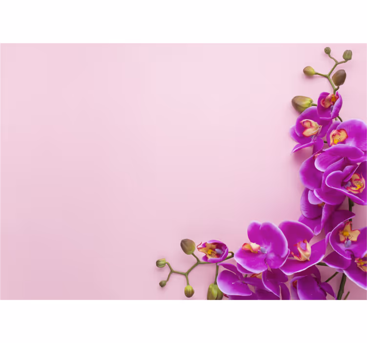 Orchid wall mural orchid floral arrangement - TenStickers