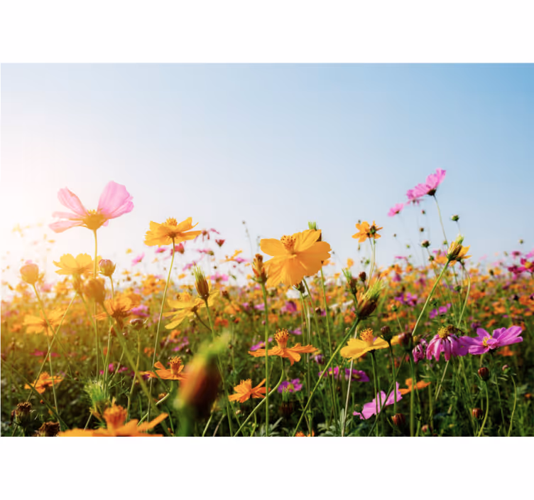Colorful blooming flora flower wall mural - TenStickers