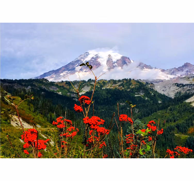 Landscape wall mural snow-capped mountain view - TenStickers
