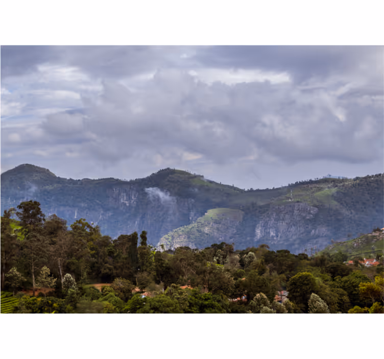 Serene mountain view landscape wall mural - TenStickers