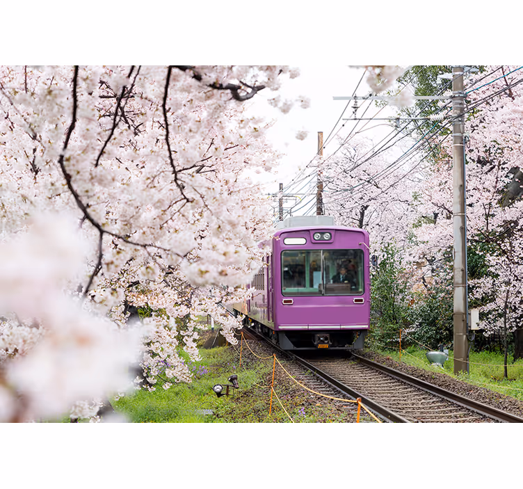 City wall mural cherry blossom train artwork - TenStickers