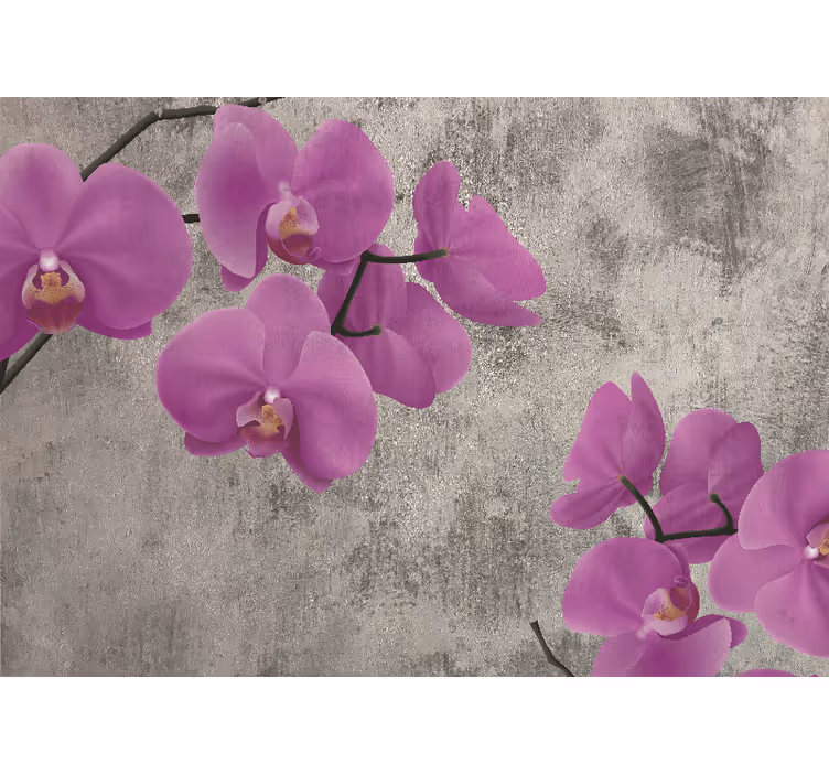 Flower wall mural rose orchid blooms - TenStickers