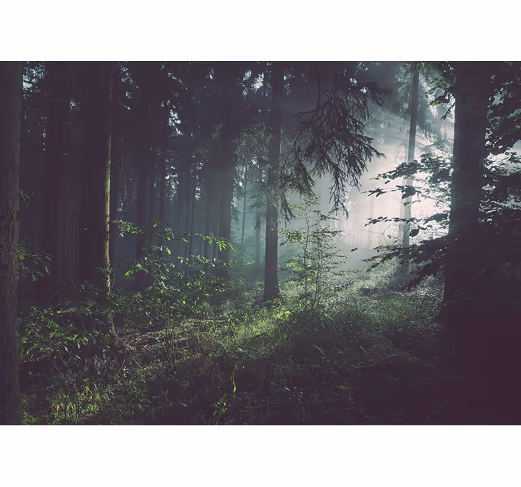 Nature wall mural verdant woodland landscape - TenStickers
