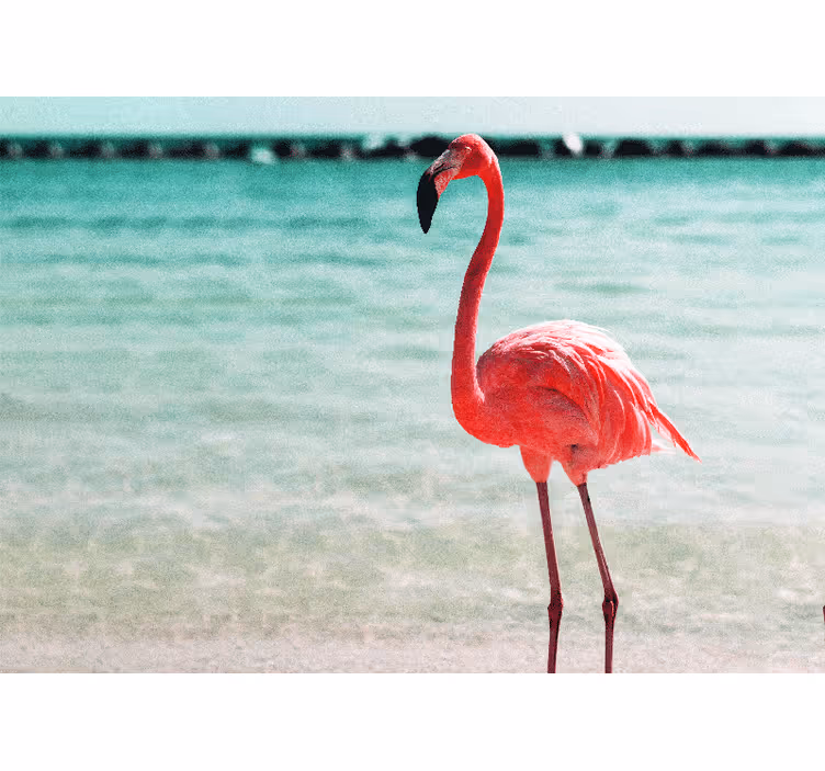 Animal wall mural graceful flamingo pose - TenStickers