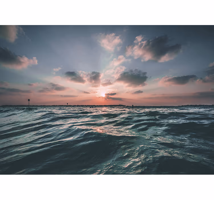 Sea animals wall mural sunset over waves - TenStickers