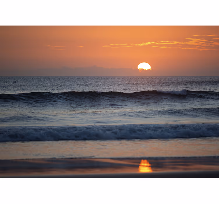 Sunset Ocean Horizon sea animals wall mural - TenStickers