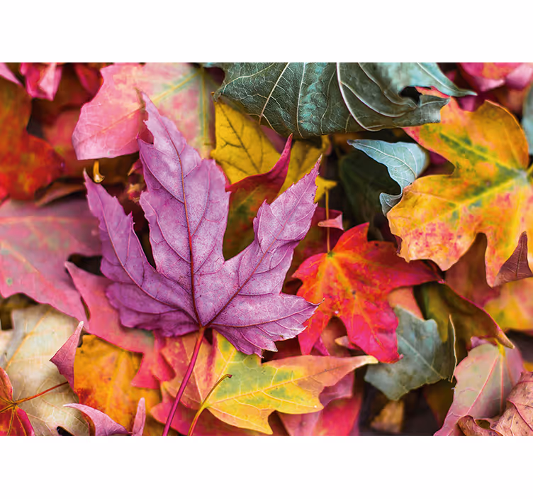 Flower wall mural with vibrant leaf designs - TenStickers