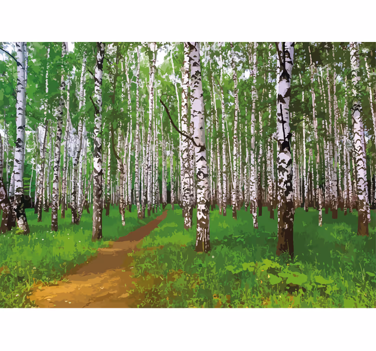 Nature wall mural birch forest path - TenStickers