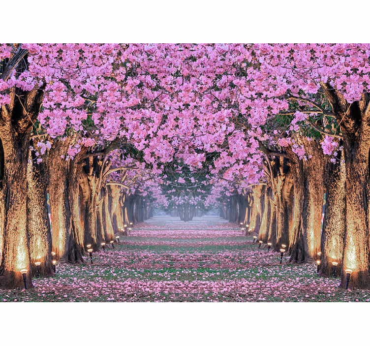 Flower wall mural cherry blossom path - TenStickers