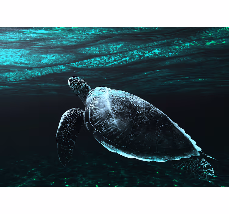 Animal wall mural majestic sea turtle - TenStickers
