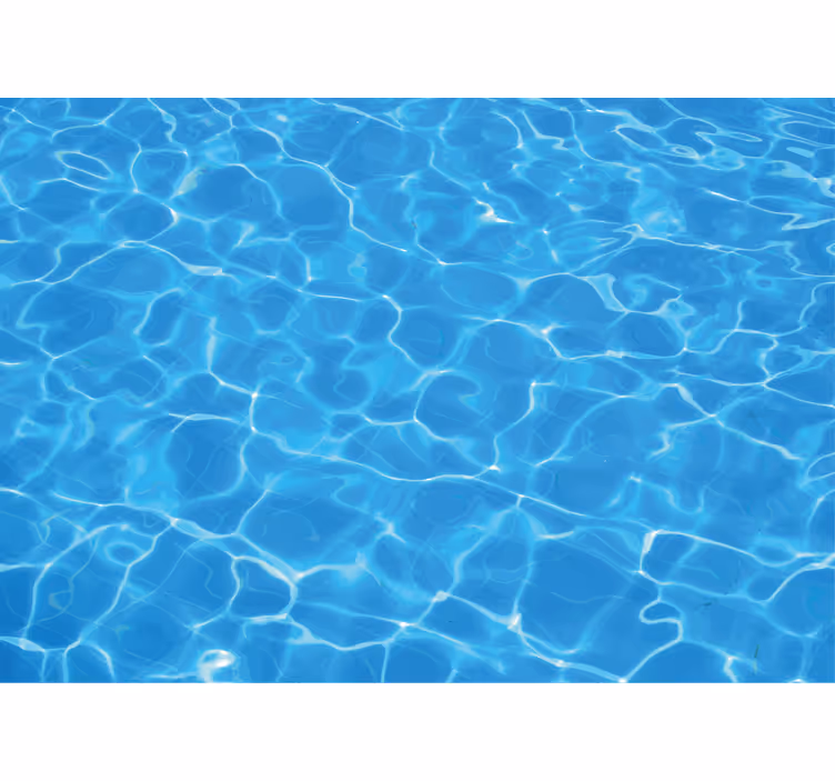Sea animals wall mural clear water surface - TenStickers
