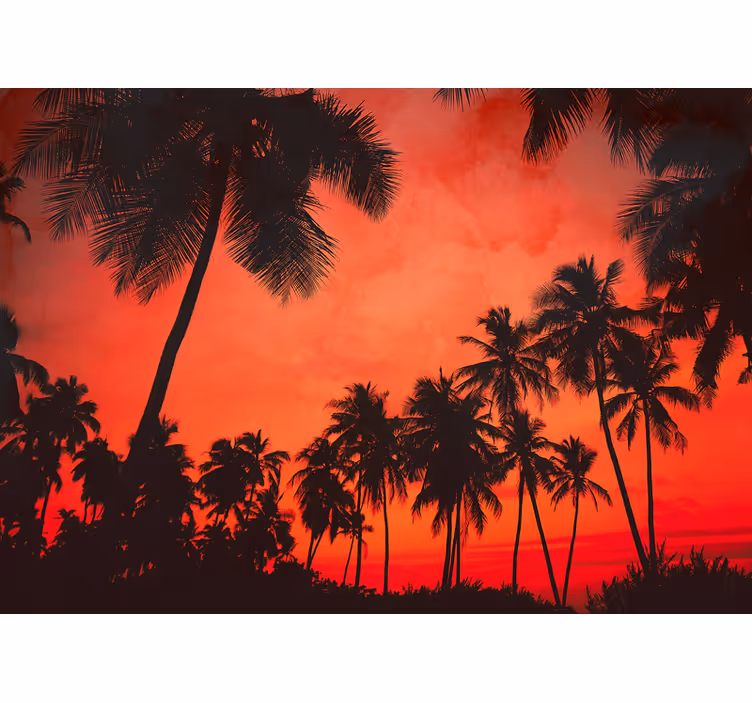 Nature wall mural silhouette of palm trees - TenStickers