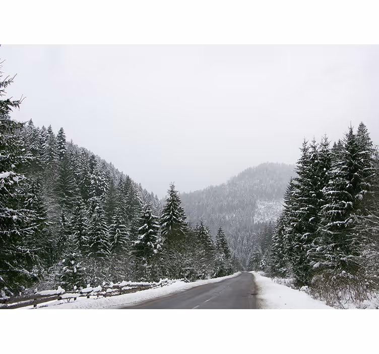 Mountain wall mural icy mountain scenery - TenStickers