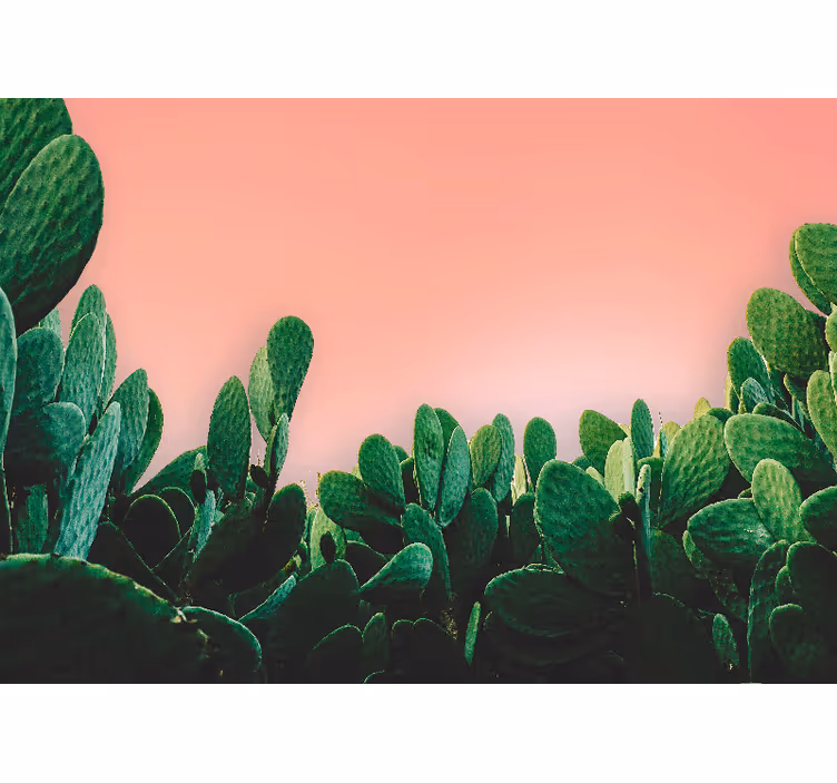 Nature wall mural cactus landscape design - TenStickers