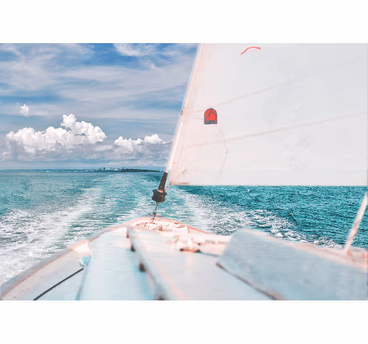 Sea animals wall mural sailing through waves - TenStickers