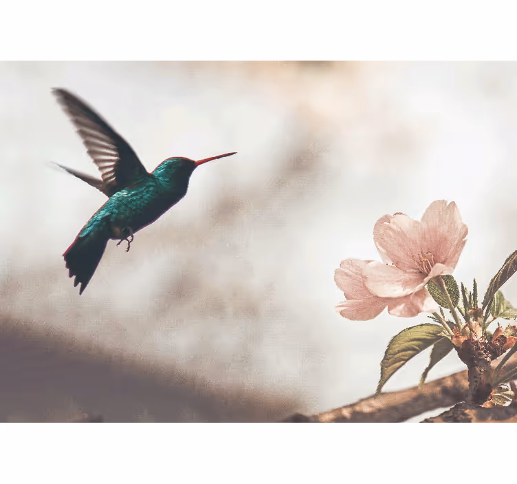 Animal wall mural hummingbird and blossom - TenStickers