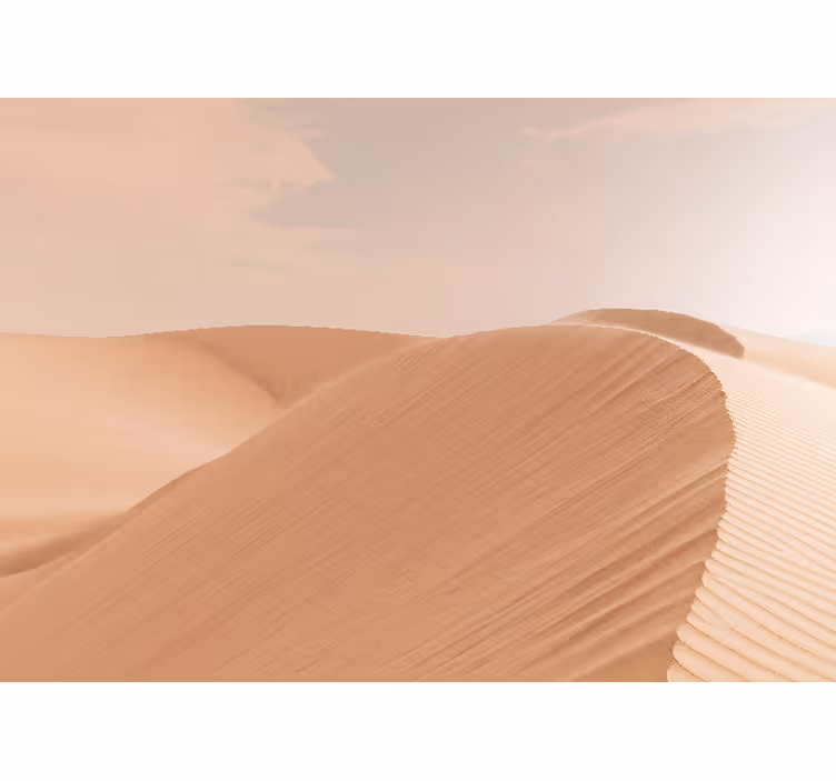 Brown aesthetic desert Hallway Mural - TenStickers