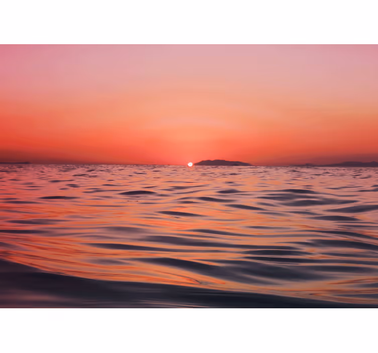 Sea animals wall mural twilight over the sea - TenStickers