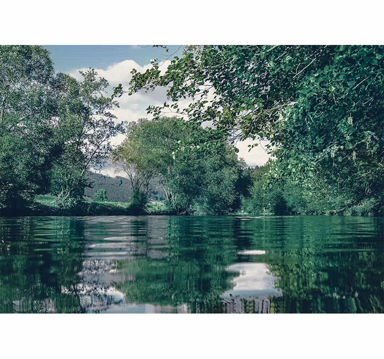 River and forest aesthetic Forest Wall Mural - TenStickers