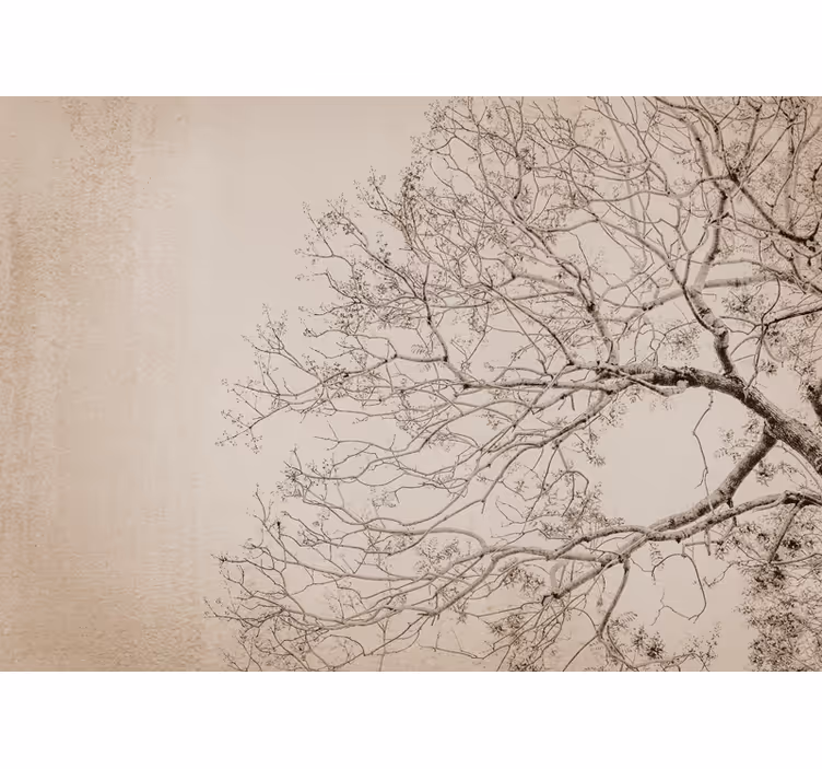 Tree mural beautiful branching silhouette - TenStickers