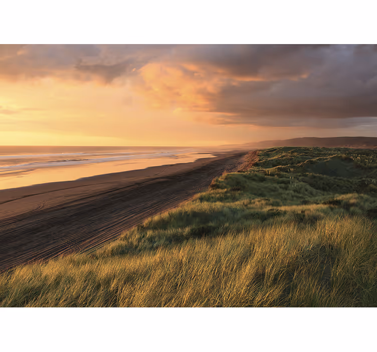Seaside sunset harmony sea animals wall mural - TenStickers