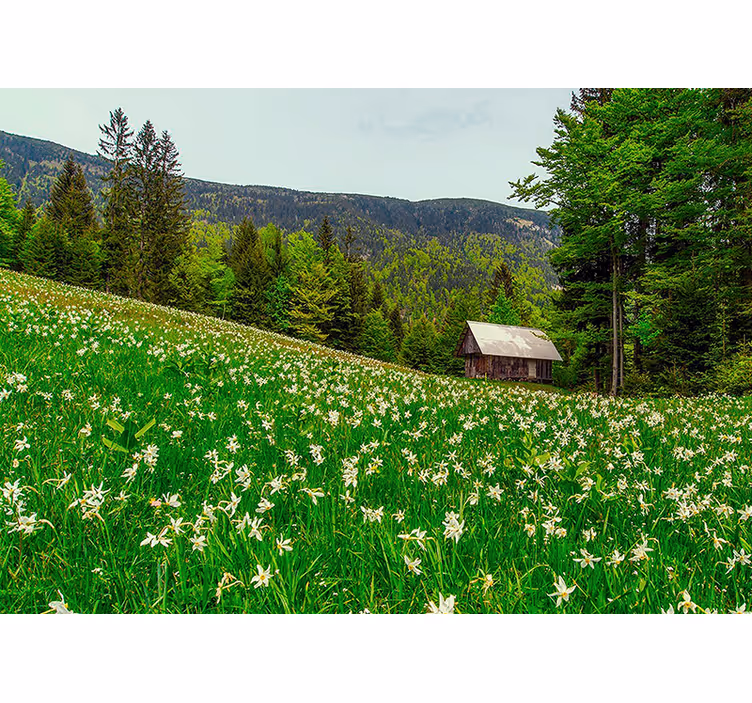 Nature wall mural serene pastoral landscape - TenStickers