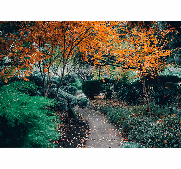 Nature wall mural pathway through trees - TenStickers