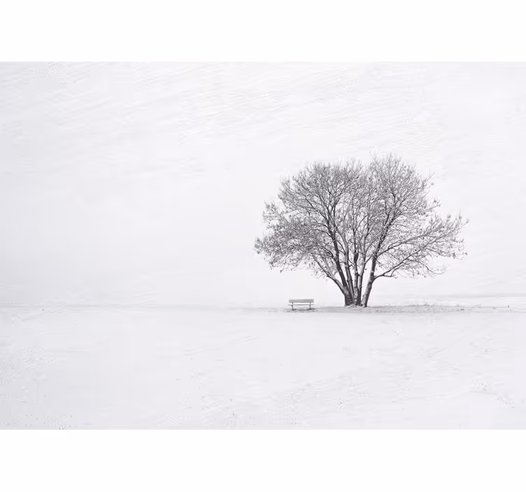 Scandinavian style Winter forest tree mural - TenStickers