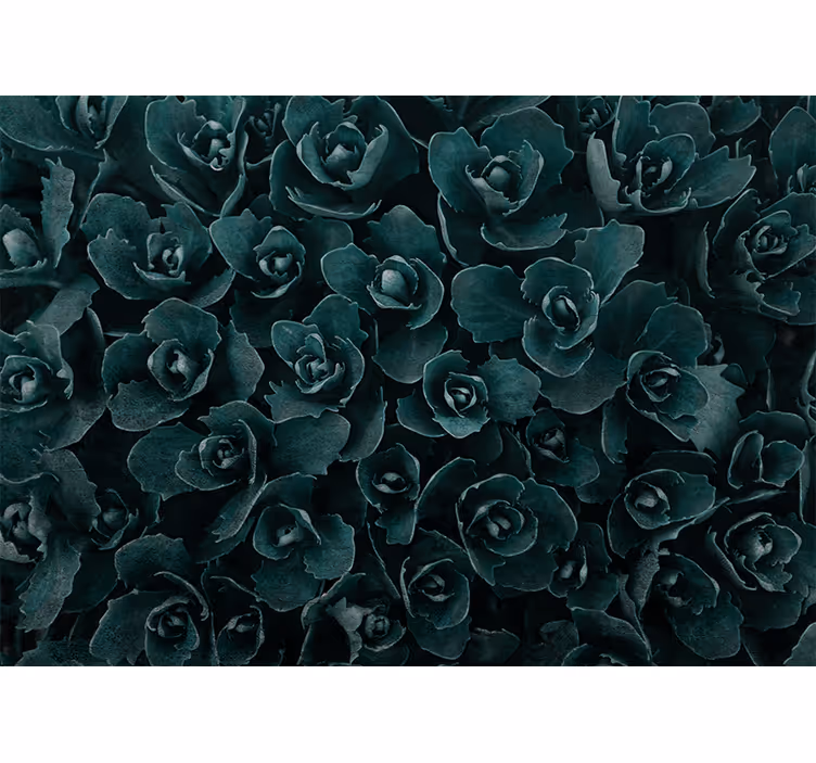 Flower wall mural elegant rose bloom - TenStickers