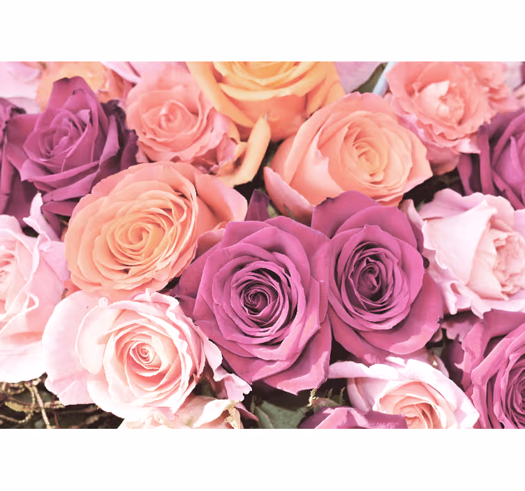 Flower wall mural rose bouquet closeup - TenStickers