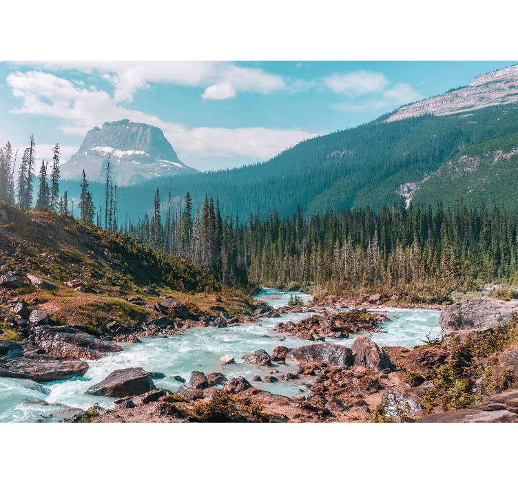 Verdant mountain stream landscape wall mural - TenStickers