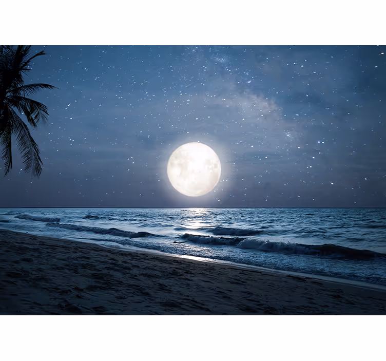 Nature wall mural bright moonlit ocean scene - TenStickers