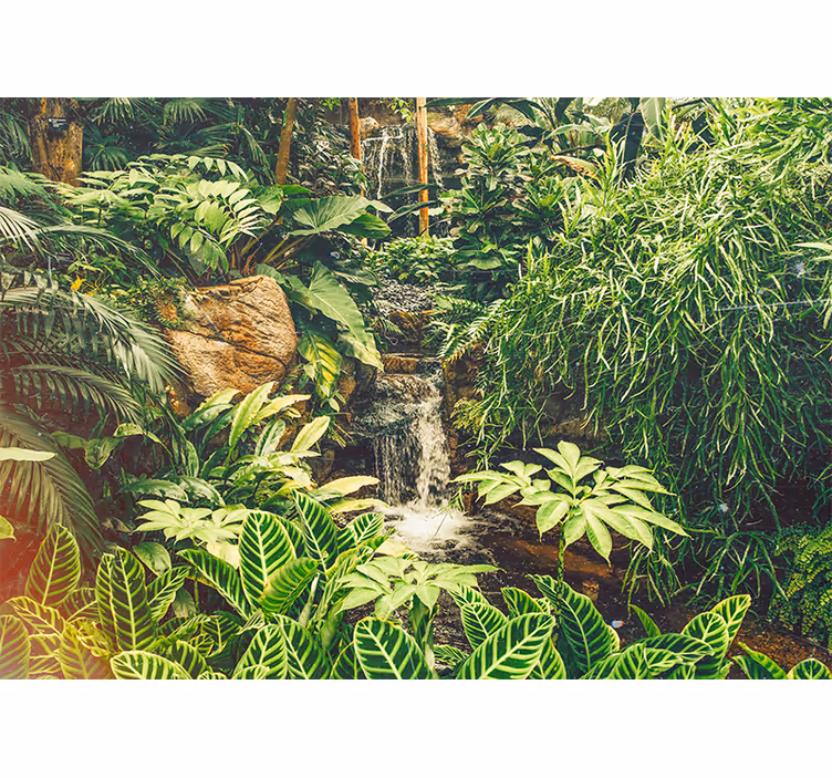 Beautiful green tropical Forest Wall Mural - TenStickers