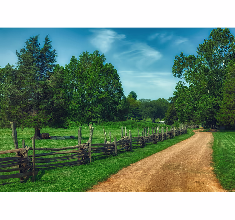 Landscape wall mural vibrant green pathway - TenStickers