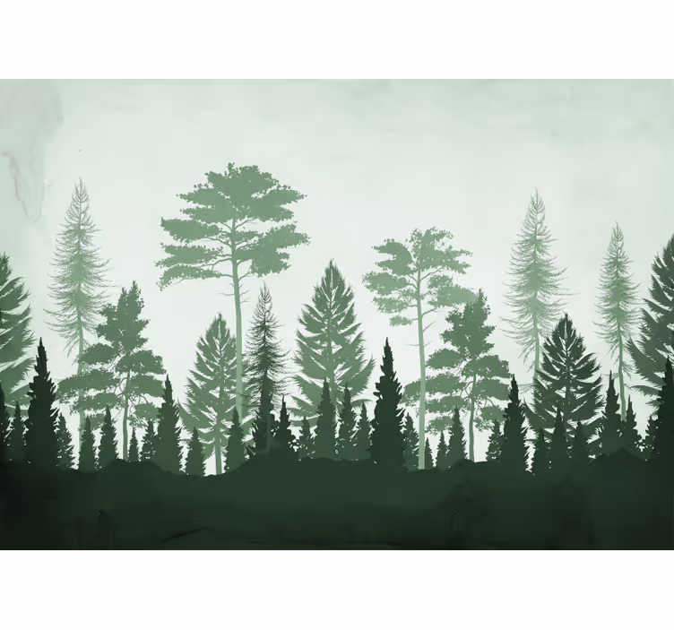 Forest wall mural lush evergreen forest - TenStickers